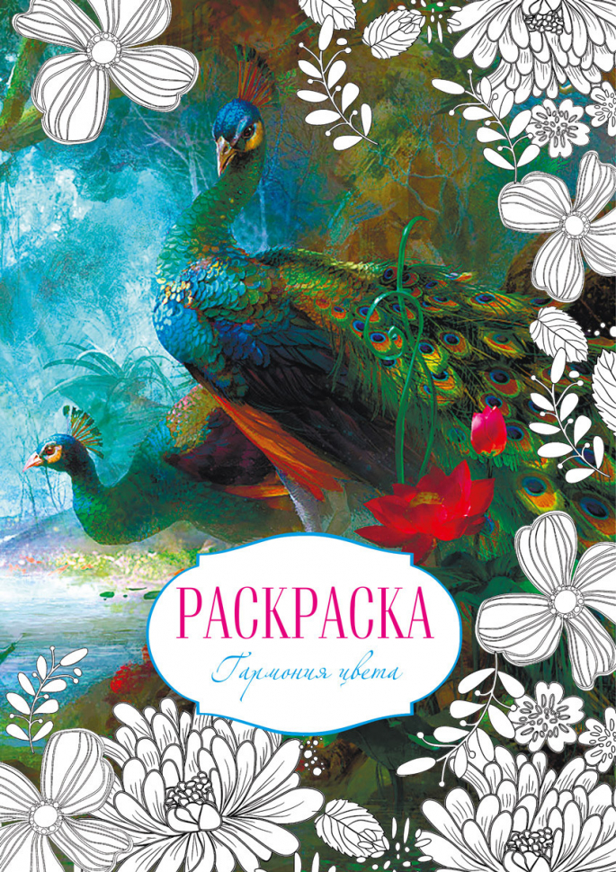 Раскраска «ГАРМОНИЯ ЦВЕТА»