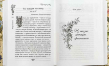 ИСКРА БОЖЬЯ. Сборник рассказов и стихотворений для чтения в христианской семье и школе для девочек