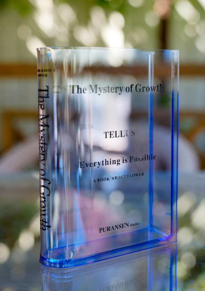 Ваза-книга для цветов /прозрачный синий/