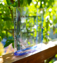 Ваза-книга для цветов /прозрачный синий/