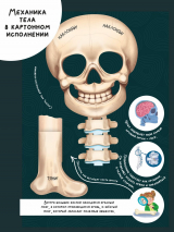 ЗНАКОМЬСЯ: ТВОЕ ТЕЛО. Детская интерактивная энциклопедия