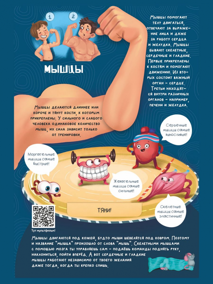 ЗНАКОМЬСЯ: ТВОЕ ТЕЛО. Детская интерактивная энциклопедия