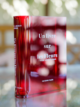 Ваза-книга для цветов /красный/