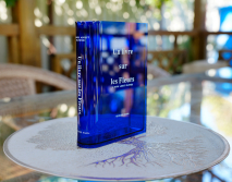 Ваза-книга для цветов /синий/