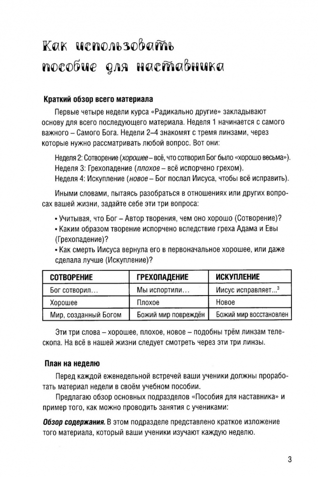 Уценка! РАДИКАЛЬНО ДРУГИЕ. Руководство для общения в группе. Пособие для наставника. Чемп Торнтон