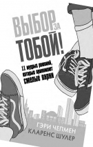 Уценка! ВЫБОР ЗА ТОБОЙ. 11 мудрых решений, которые принимают смелые парни. Гэри Чепмен и Кларенс Шулер