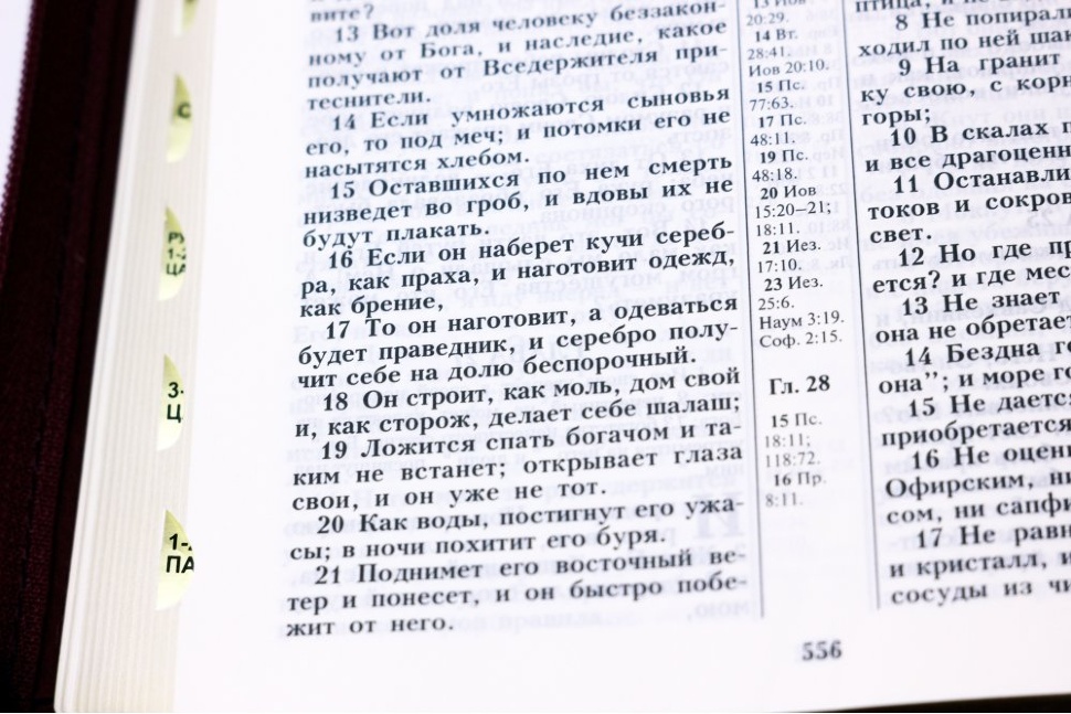 БИБЛИЯ 055 ZTI Бордо, цвет. рамка, парал. места в серед., золотой срез, молния, индексы, закладка, словарь /145х205/