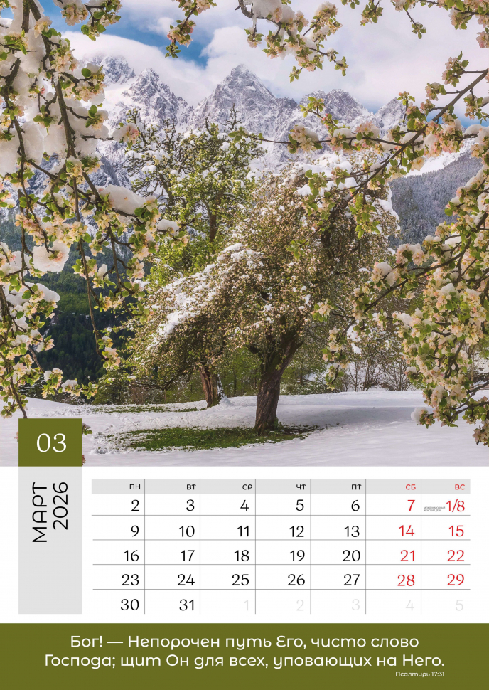 Перекидной календарь 2026: Слово Божье в каждый дом. 12 листов /Библейская лига/