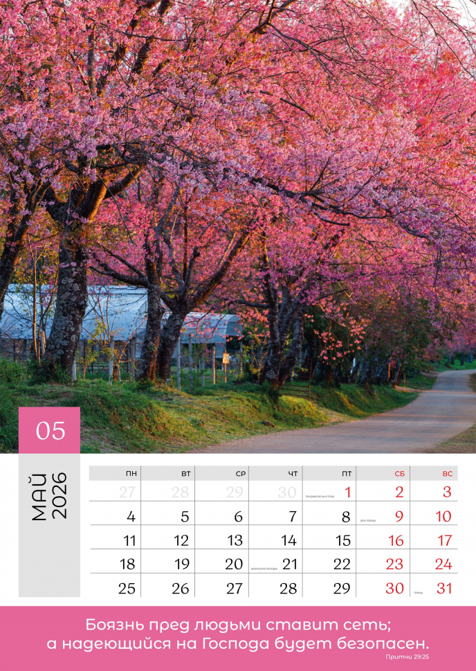 Перекидной календарь 2026: Слово Божье в каждый дом. 12 листов /Библейская лига/