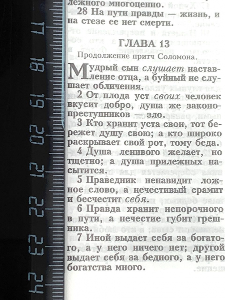 БИБЛИЯ 053 ZTI G4 Фотопечать Розы, искусственная кожа, молния, индексы, две закладки, золотой срез, параллельные места, крупный шрифт /143х220/