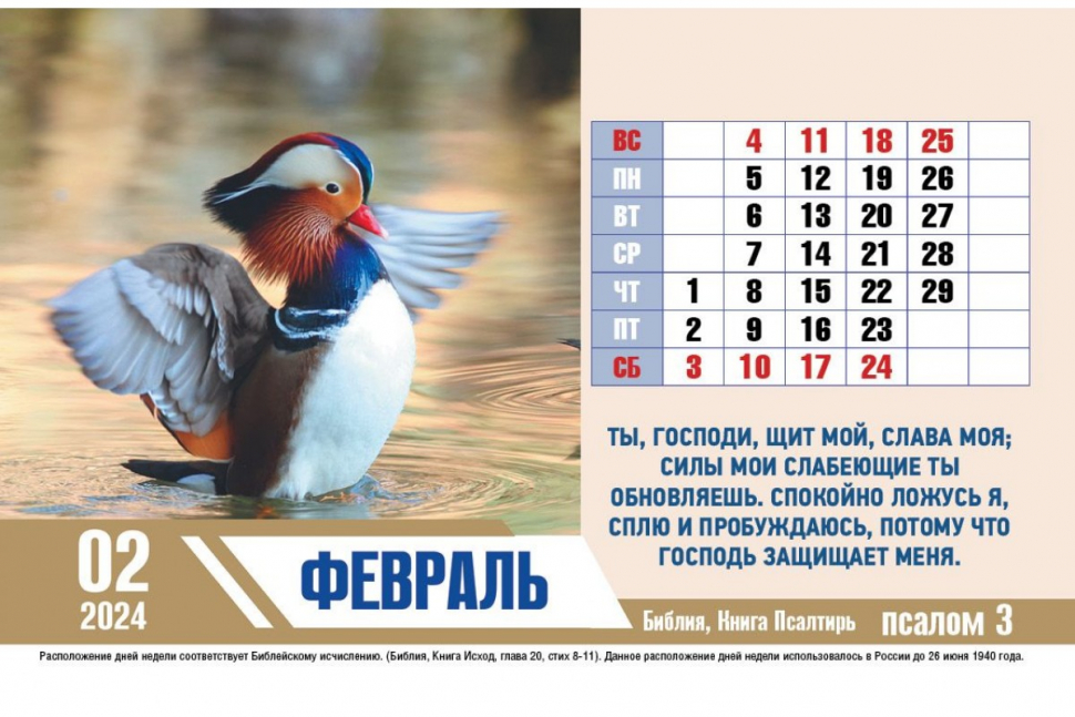 Настольный календарь 2024: Псалмы радости /домик/