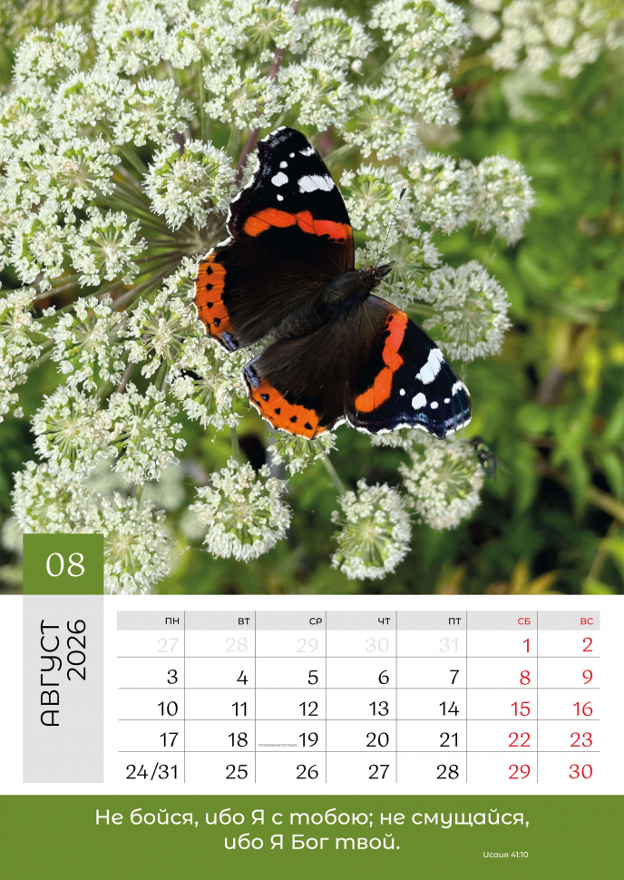 Перекидной календарь 2026: Слово Божье в каждый дом. 6 листов /Библейская лига/