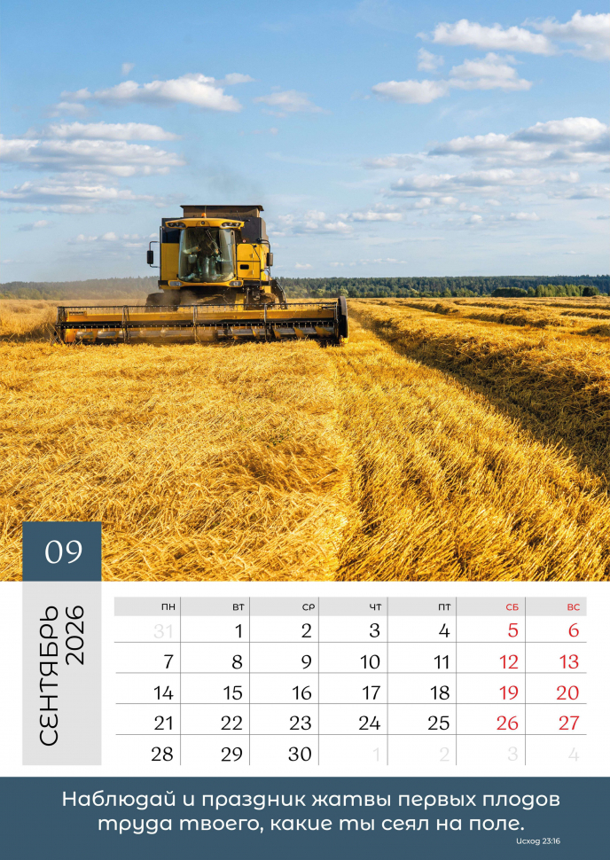 Перекидной календарь 2026: Слово Божье в каждый дом. 6 листов /Библейская лига/