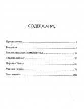 ЦЕЛОСТНАЯ МИССИЯ. Владимир Убейволк