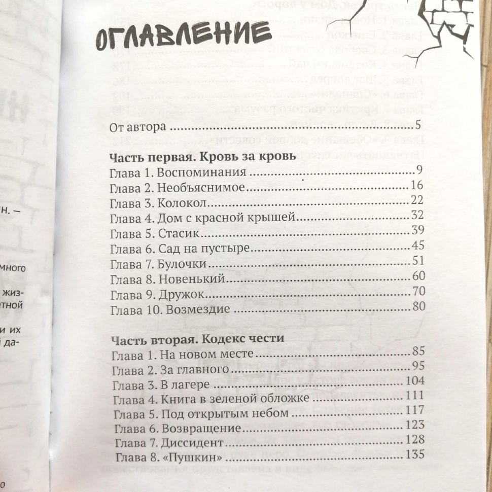 НЕДЕТСКАЯ ЖИЗНЬ ФЕДЬКИ МАРТЫНОВА. Михаил Ирин