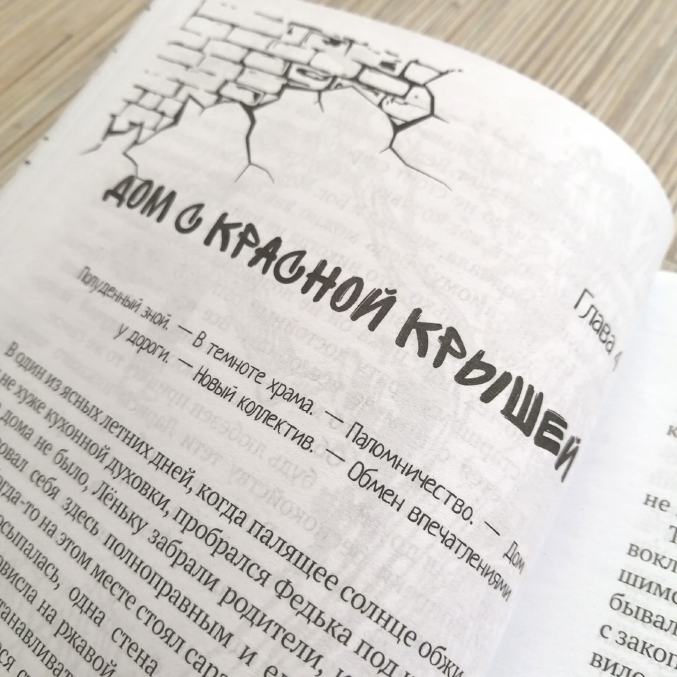 НЕДЕТСКАЯ ЖИЗНЬ ФЕДЬКИ МАРТЫНОВА. Михаил Ирин