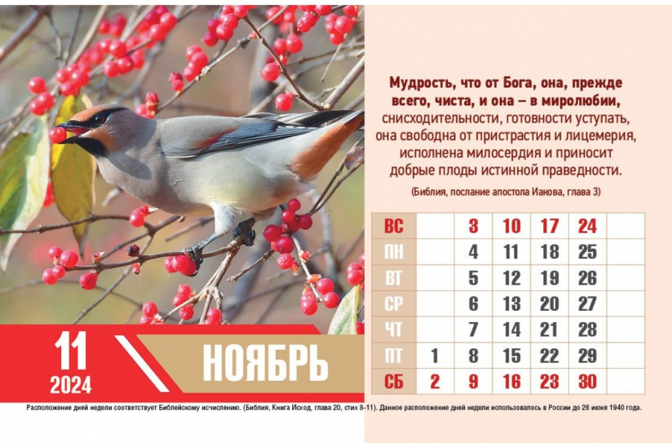 Настольный календарь 2024: Золотые стихи Библии /домик/