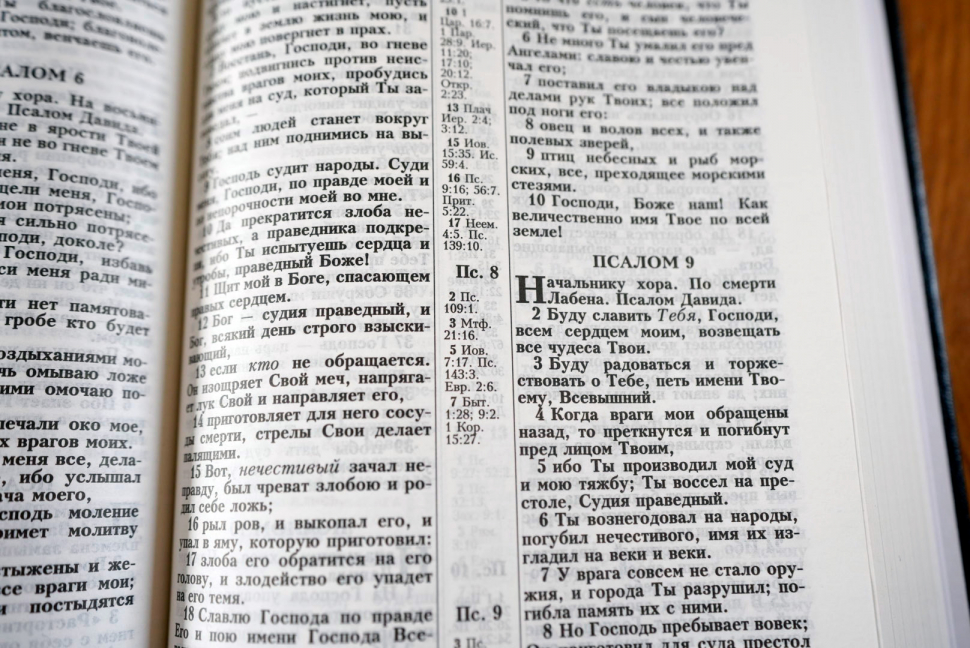 БИБЛИЯ КАНОНИЧЕСКАЯ 043 формат. Дизайн &quot;колос&quot;, надпись &quot;Библия&quot;, черная, твердый переплет, параллельные места, синодальный перевод /170х110/