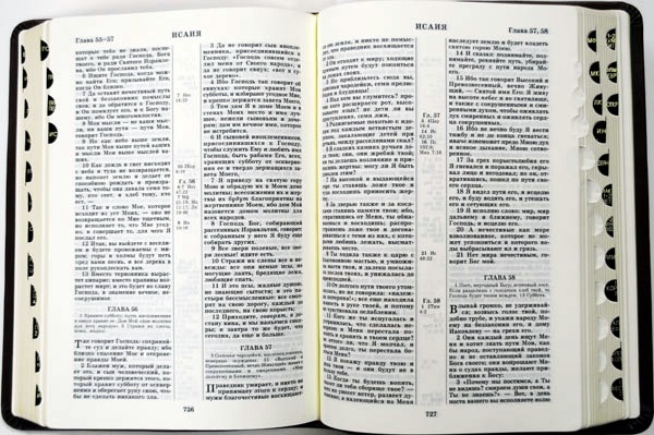 БИБЛИЯ 045 TI Коричневая, орнамент, с индексами, зол. срез, словарь, закладка /175х120/