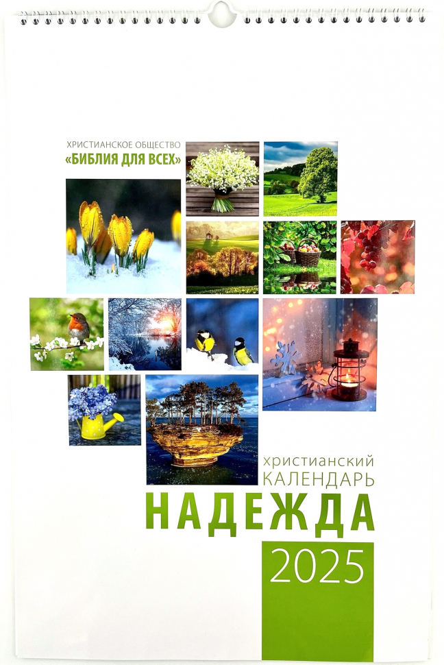 Перекидной календарь на пружине 2025: Надежда /12 листов/
