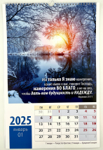 Перекидной календарь на пружине 2025: Надежда /12 листов/