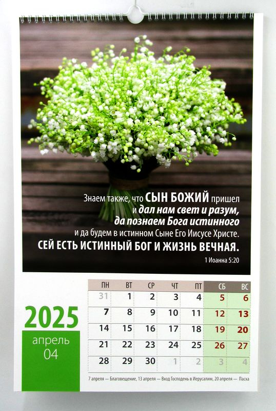 Перекидной календарь на пружине 2025: Надежда /12 листов/