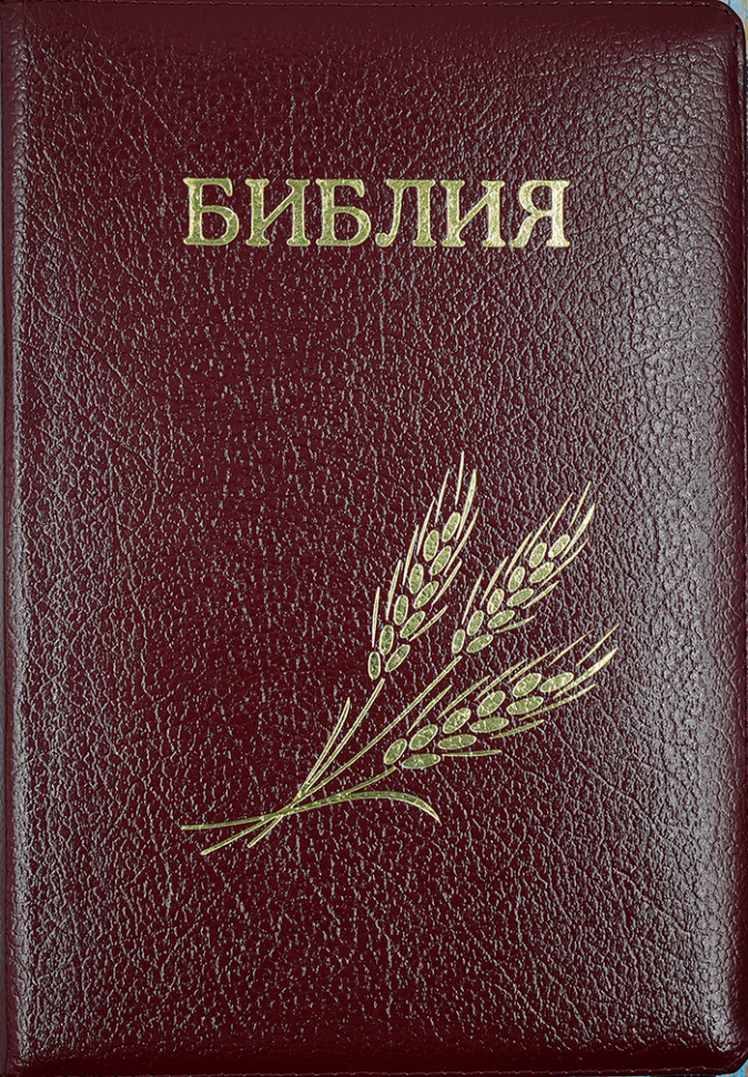 БИБЛИЯ 076 ZTI. Дизайн &quot;колос&quot;, бордовая, кожаный переплет, молния, золотой обрез, индексы, параллельные места, крупный шрифт, синодальный перевод /240х170/
