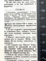БИБЛИЯ 048 ZTI. Розы, кожа, молния, индексы, цветной обрез, параллельные места, закладки /195х125/