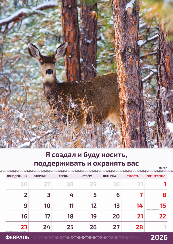 Перекидной календарь 2026: Слово Божье в каждый дом. 6 листов /Акварель/