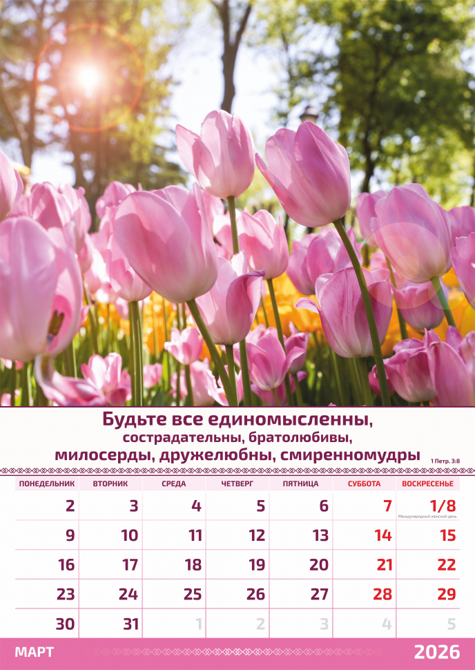 Перекидной календарь 2026: Слово Божье в каждый дом. 6 листов /Акварель/