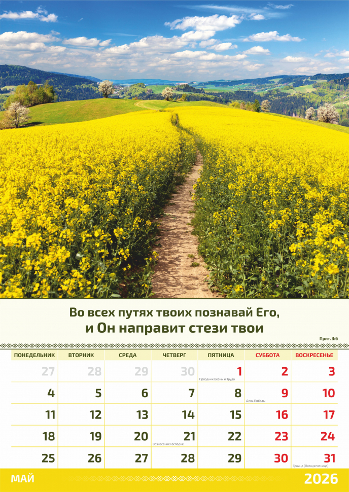 Перекидной календарь 2026: Слово Божье в каждый дом. 6 листов /Акварель/