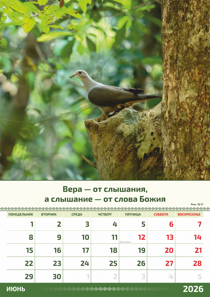 Перекидной календарь 2026: Слово Божье в каждый дом. 6 листов /Акварель/