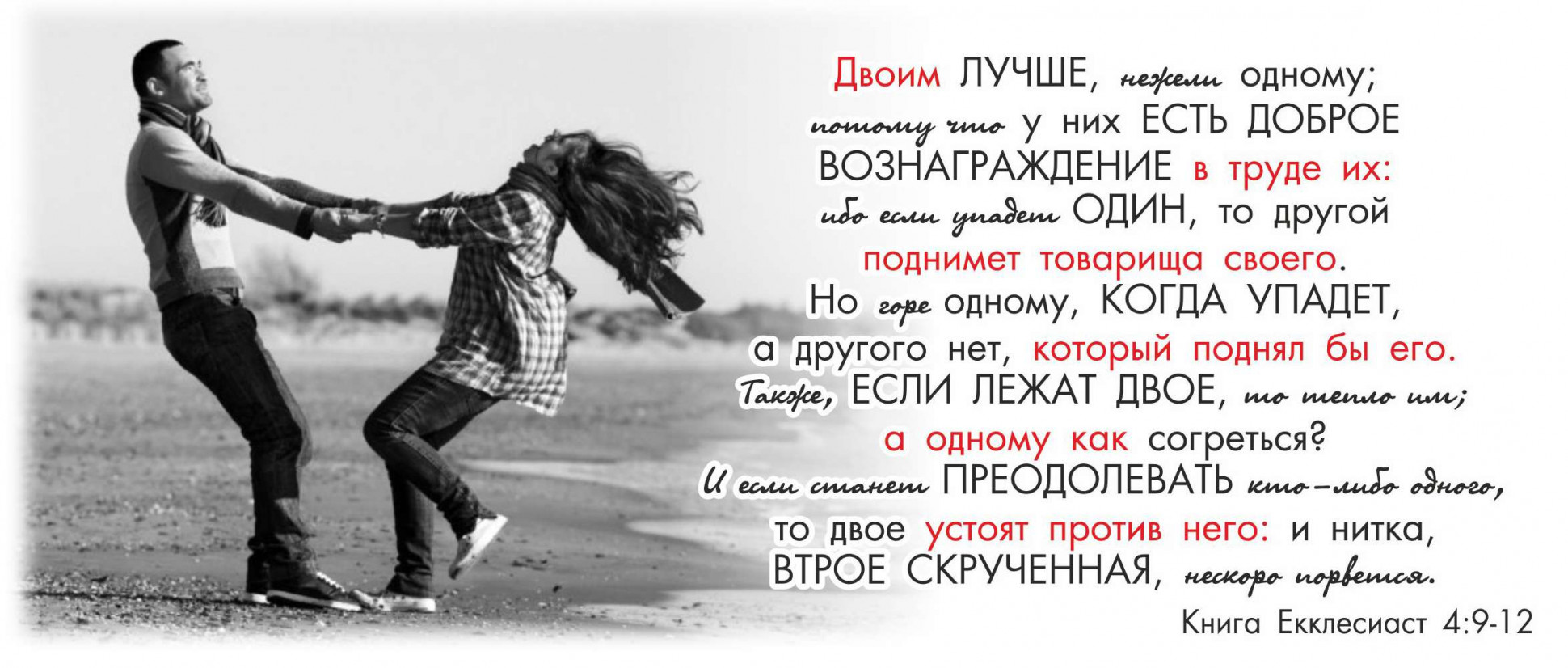 Книга бывшие или у любви другие планы