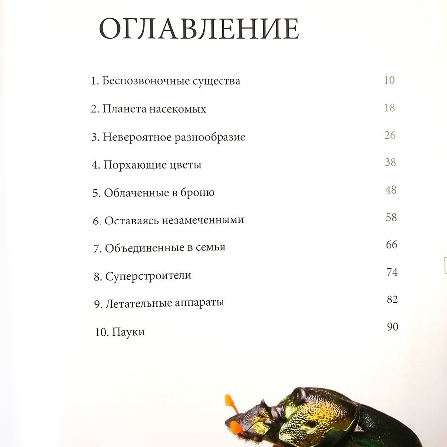 УДИВИТЕЛЬНЫЙ МИР НАСЕКОМЫХ. Селедонио Гарсиа-Позуэло Рамос