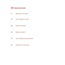 КАК ХАМЕЛЕОН СПАС НОЯ. Яэль Молчадски