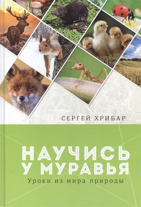 НАУЧИСЬ У МУРАВЬЯ. Уроки из мира природы. Сергей Хрибар