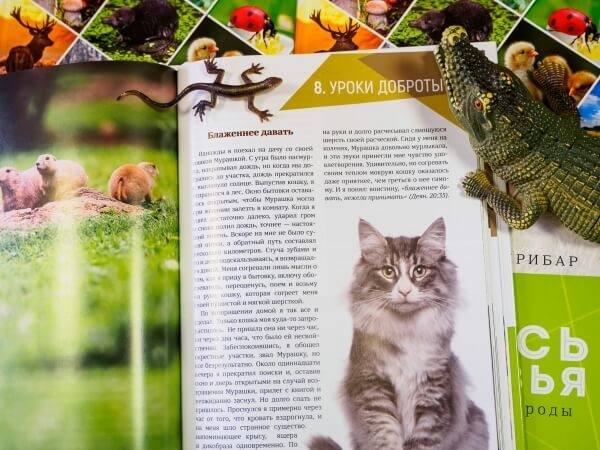 НАУЧИСЬ У МУРАВЬЯ. Уроки из мира природы. Сергей Хрибар