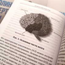 ДОЛИНОЙ СМЕРТНОЙ ТЕНИ. Научно-философское и библейское исследование околосмертных переживаний. Под ред. Жака Дукана
