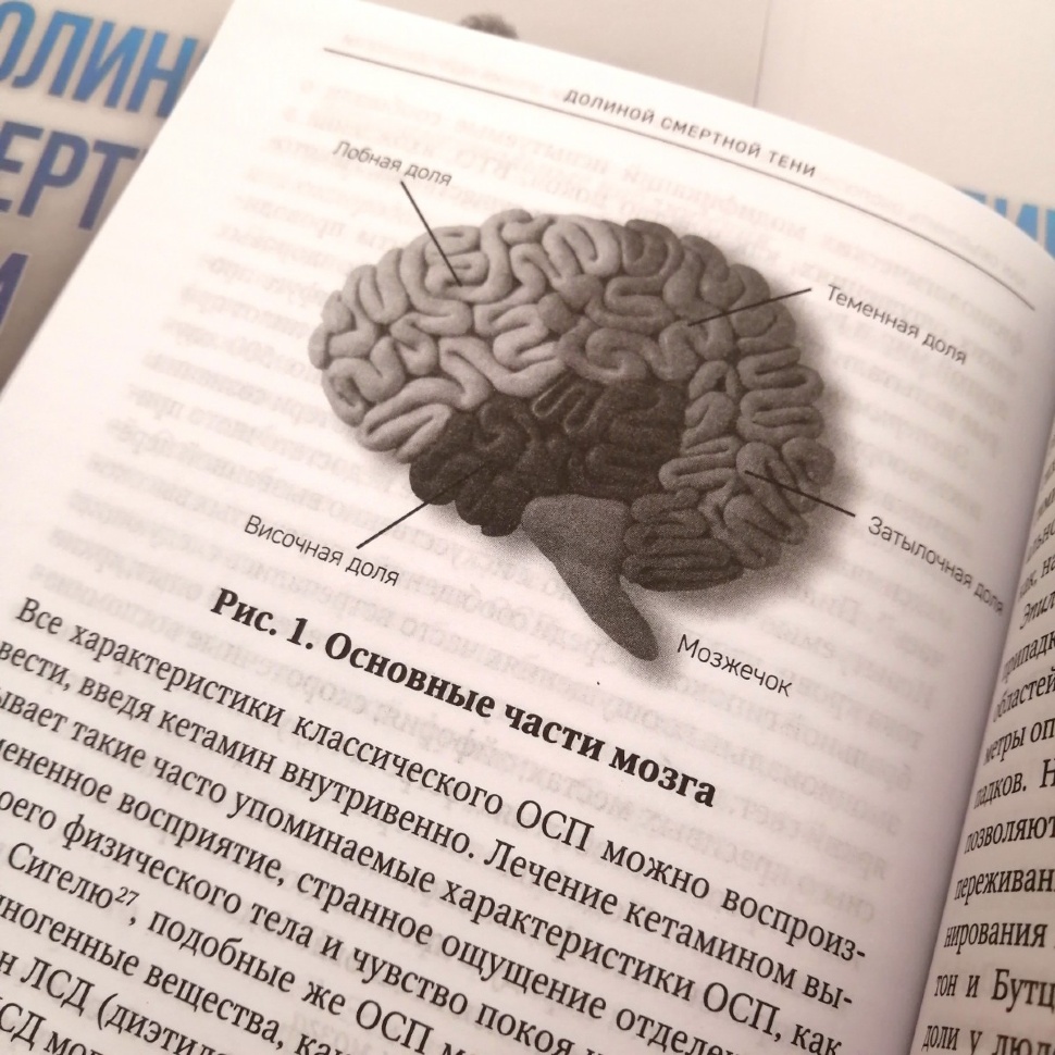 ДОЛИНОЙ СМЕРТНОЙ ТЕНИ. Научно-философское и библейское исследование околосмертных переживаний. Под ред. Жака Дукана