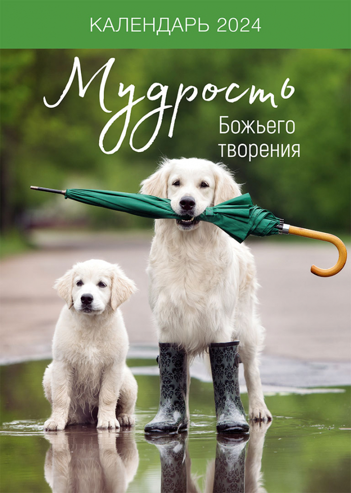 Перекидной календарь на пружине 2024: Мудрость Божьего творения