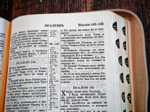 БИБЛИЯ 048 Z. Бежевая, кожаный переплет, молния, золотой обрез, параллельные места, крупный шрифт, синодальный перевод /180х120/