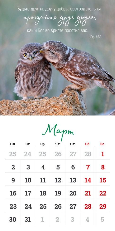 Перекидной календарь на скрепке 2026: Мудрость Божьего творения