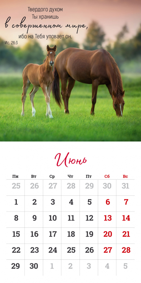 Перекидной календарь на скрепке 2026: Мудрость Божьего творения