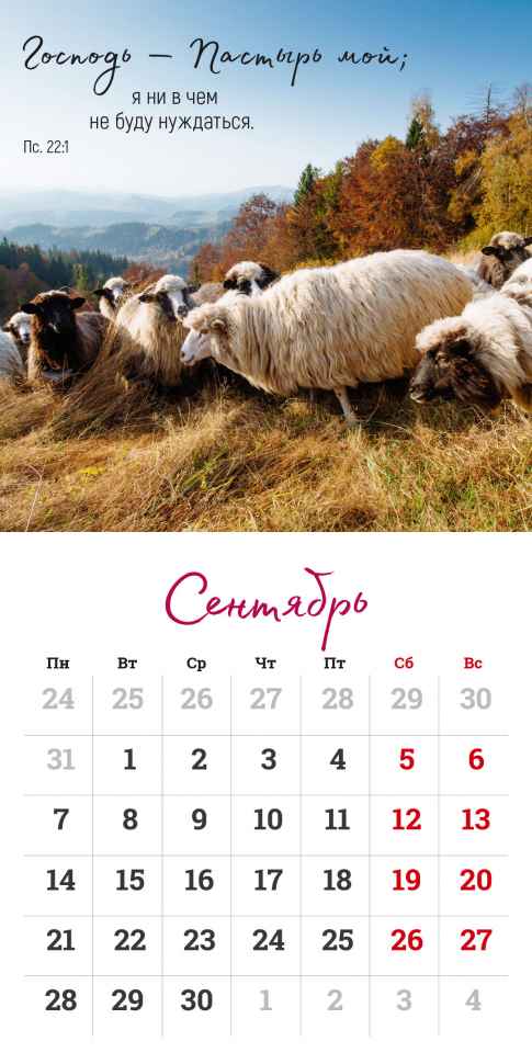 Перекидной календарь на скрепке 2026: Мудрость Божьего творения