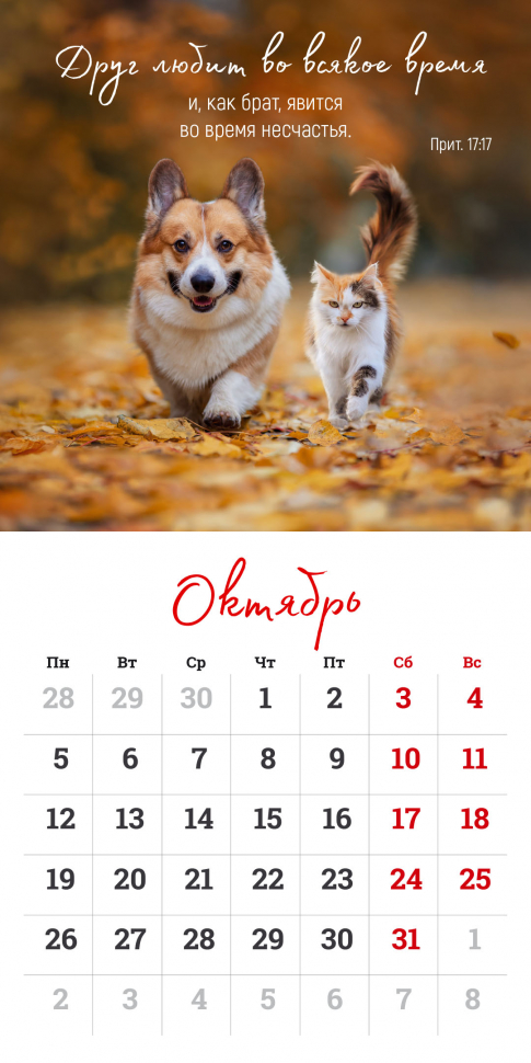 Перекидной календарь на скрепке 2026: Мудрость Божьего творения