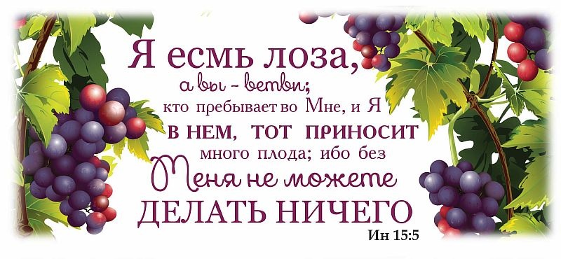 Кружка &quot;Я ЕСМЬ ЛОЗА, А ВЫ - ВЕТВИ&quot;