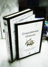 Уценка! ТАЙНА НАРОДА БОЖЬЕГО. Интертекстуальный комментарий на книгу Откровение. Ярослав Вязовский