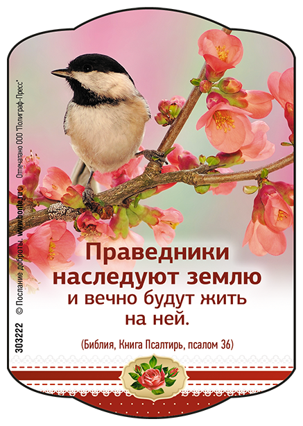 Магнит 7x10: Праведники наследуют землю