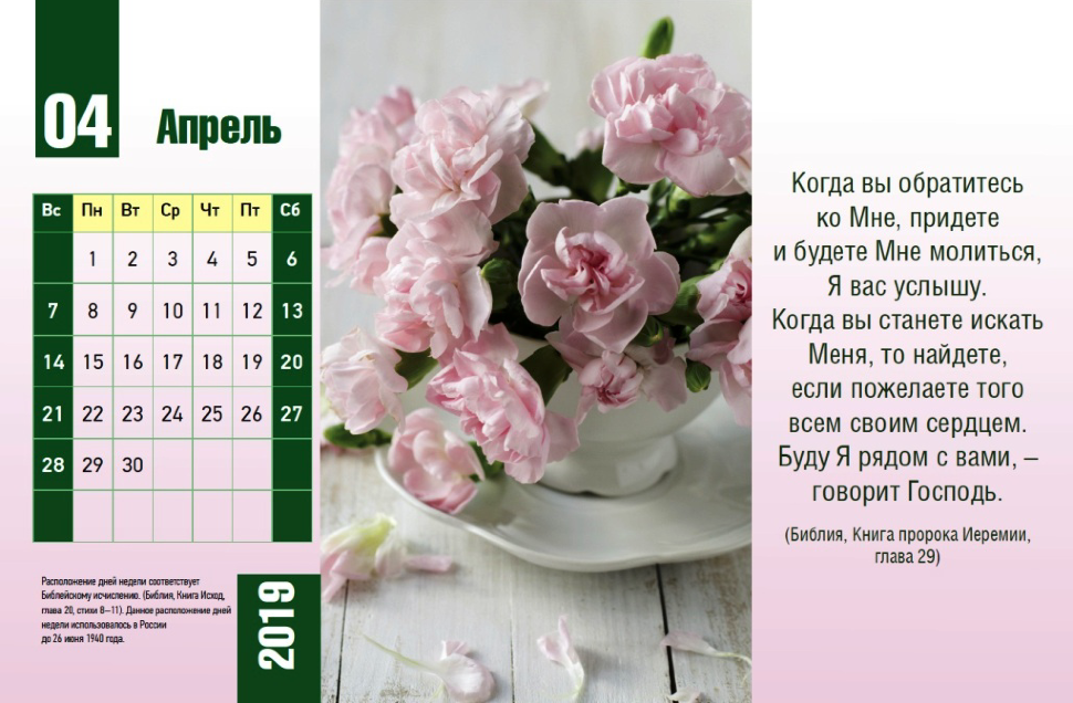 Настольный календарь 2019: Божьи благословения