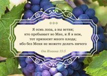 Магнит 7x10: Я есмь Лоза, а вы ветви /виноград/